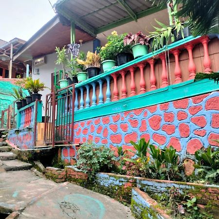 Olivia Homestay Parapat Exterior photo